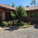 WhatsApp Image 2025-06-12 at 14.41.46