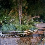 WhatsApp Image 2025-06-12 at 14.43.15